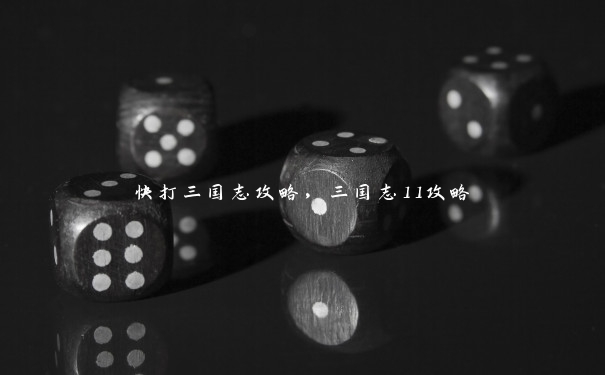 快打三国志攻略,三国志11攻略 快打三国志攻略,三国志11攻略
